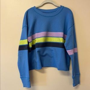 Aerie striped blue cropped sweatshirt